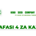 4 Vacancies Open at Kibo Seed Company