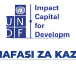 UNCDF Hiring Infographic and Data Visual Designer Assistant