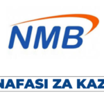 NMB Bank Hiring HR Business Partner